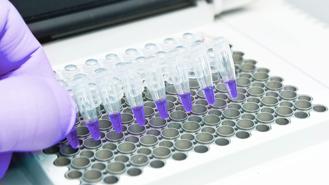 Chemical Modifications