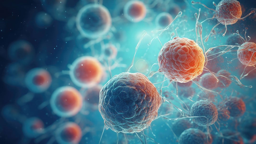 Autologous Cell Therapy