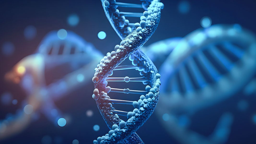 Oligonucleotide Synthesis